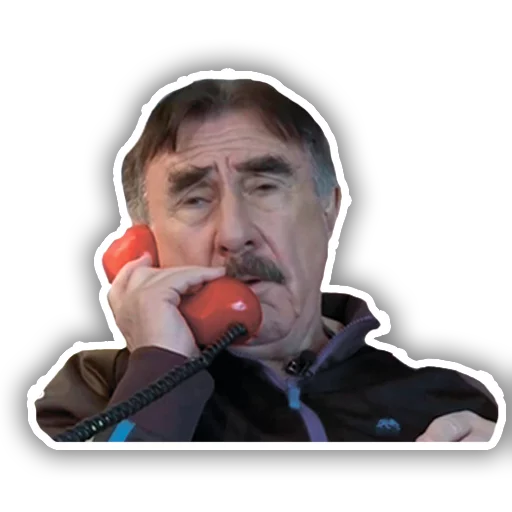 Леонид Каневский sticker 5