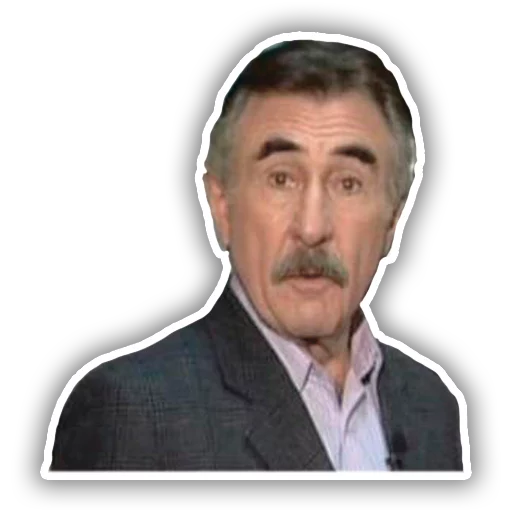 Леонид Каневский sticker 7