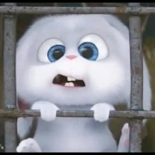 The secret life of pets 🐰 sticker 2
