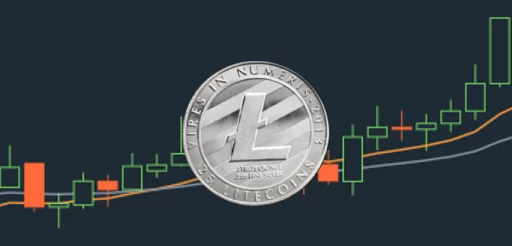 Litecoin, Fuckers! sticker 3