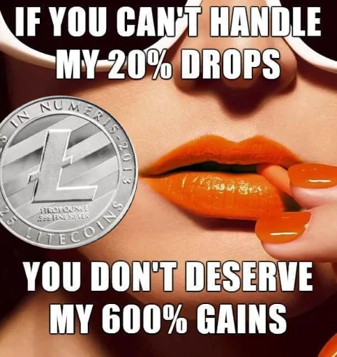 Litecoin, Fuckers! sticker 4