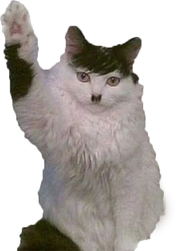 Lit Memes @perverse sticker 11