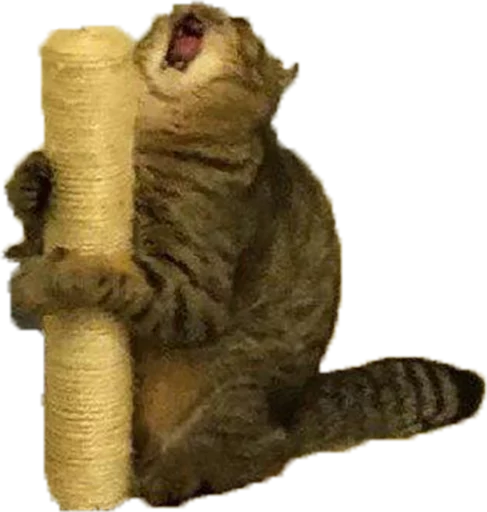 Lit Memes @perverse sticker 4