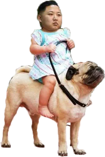 Lit Memes @perverse sticker 5