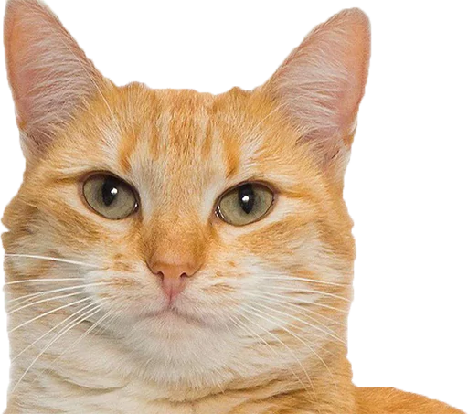 Lit Memes @perverse sticker 8