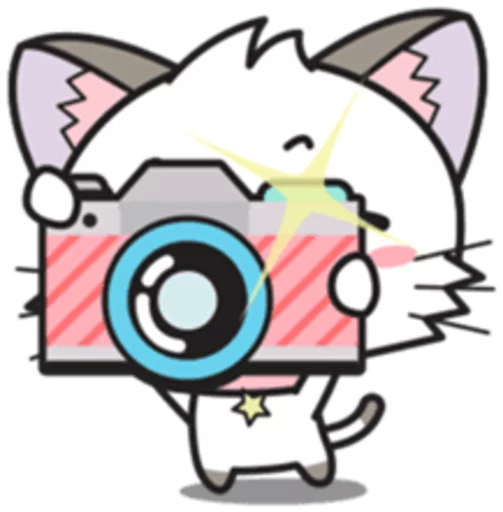Hoshi & Luna Diary 2 sticker 4