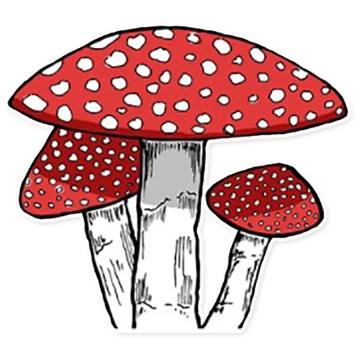 Magic Mushrooms sticker 3