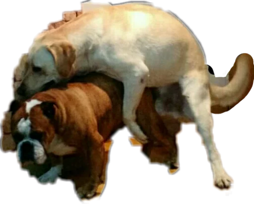 Las mana de bsas sticker 10