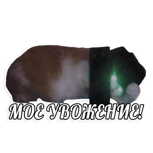 мемы про котов (по ржать) sticker 8