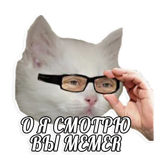 мемы про котов (по ржать) sticker 10