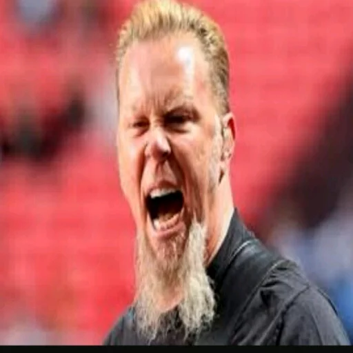 Metallica sticker 2