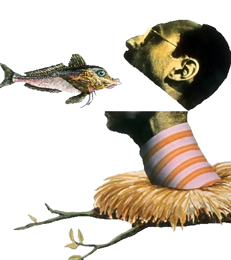 Monty Python sticker 5
