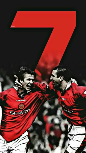 One love One united sticker 12