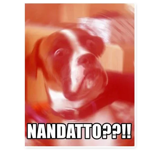 N-Nani?! Meme Mega Pack (by @zumbertinho) sticker 8