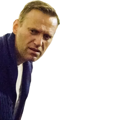 Навальный sticker 7