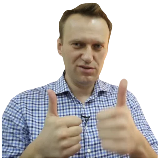 Навальный sticker 9