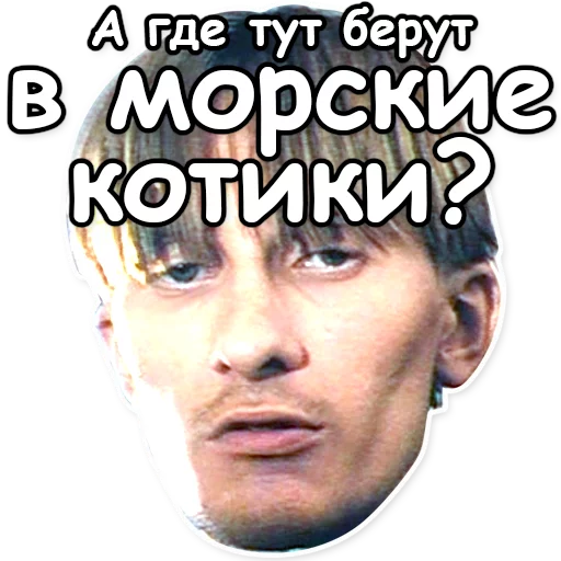 ДМБ sticker 6
