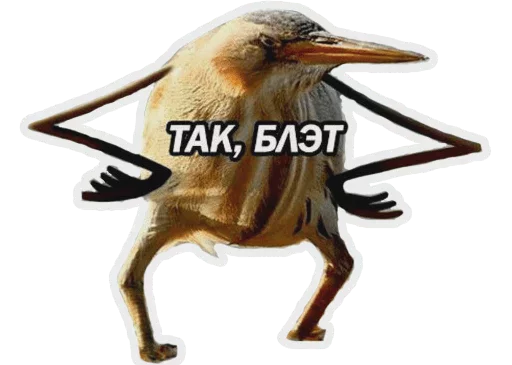 pedóras sticker 2