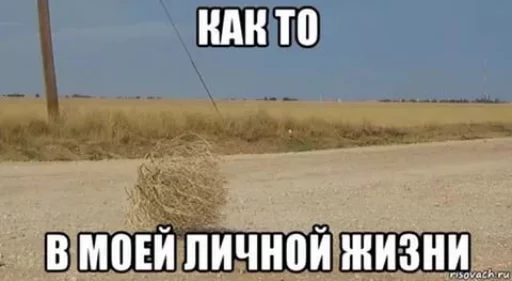 Перекати-поле.. sticker 3