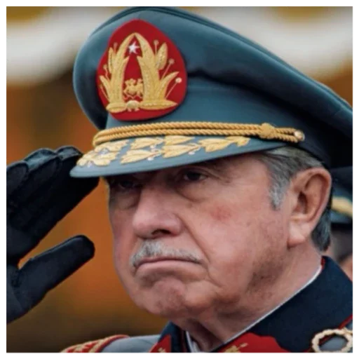 Pinochet sticker 8