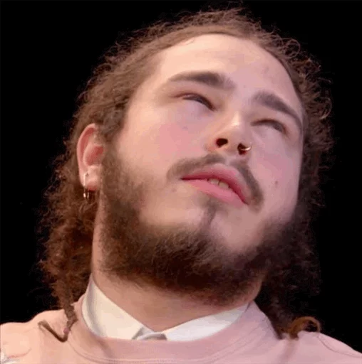 Post Malone @ElOlive sticker 3