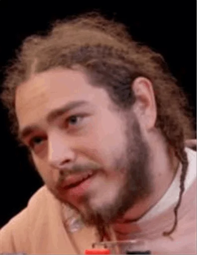 Post Malone @ElOlive sticker 4