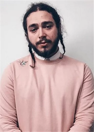 Post Malone @ElOlive sticker 5