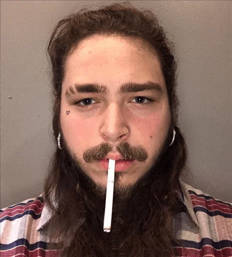 Post Malone @ElOlive sticker 10