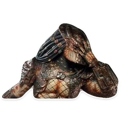 Predator sticker 5