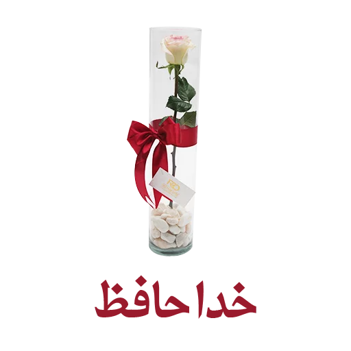 Red Rose Only sticker 7