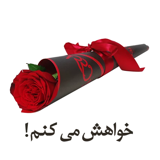 Red Rose Only sticker 8