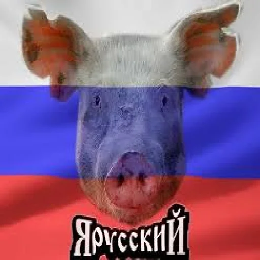 Унижение срусаков від пана Рачко Telegram sticker pack