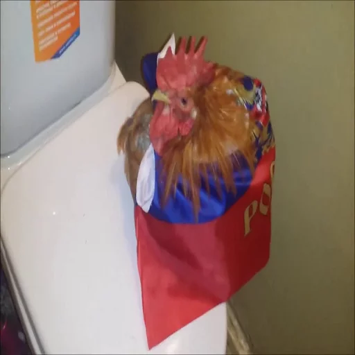 Унижение срусаков від пана Рачко sticker 8