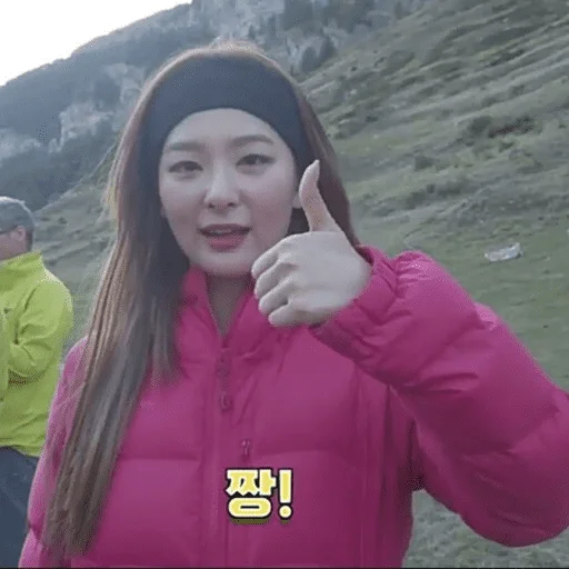 Red Velvet Seulgi sticker 3