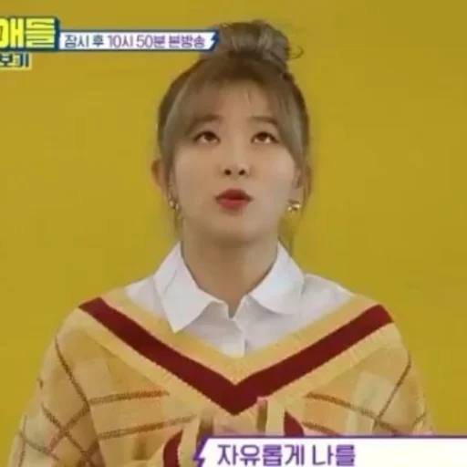 Red Velvet Seulgi sticker 6
