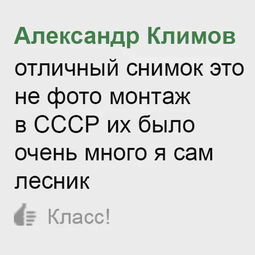 сало`s best pack ever sticker 6