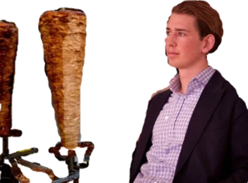 Sebastian Kurz sticker 5