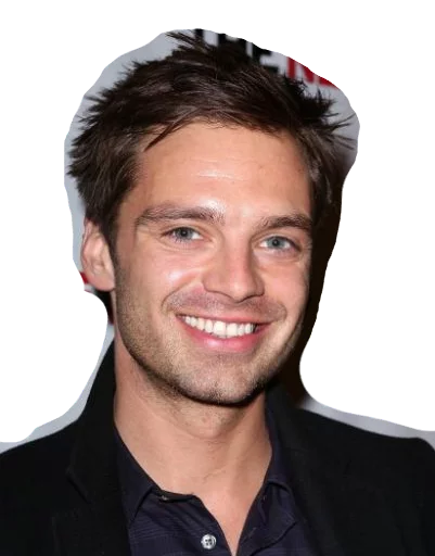 Sebastian Stan sticker 5
