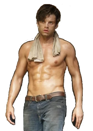 Sebastian Stan sticker 8