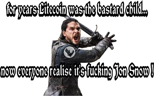 Litecoin sticker 9