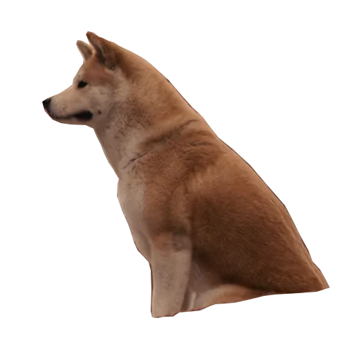 Sobaka Hatiko sticker 2