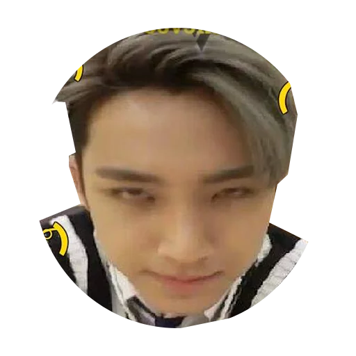 Seventeen sticker 2