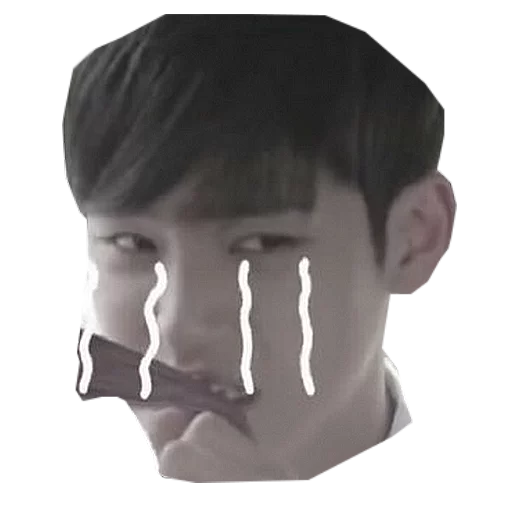 Seventeen sticker 11