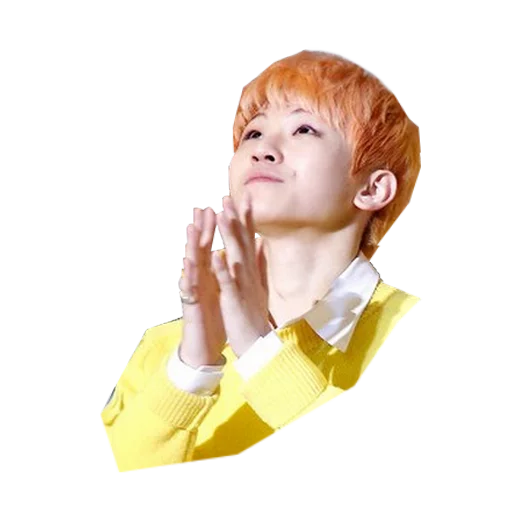 Seventeen sticker 5