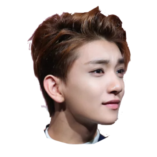 Seventeen sticker 7