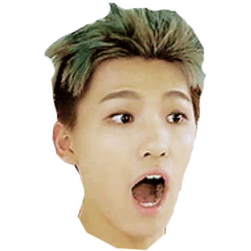 Seventeen sticker 8