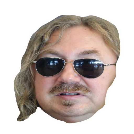 Игорь Николаев тест sticker 2