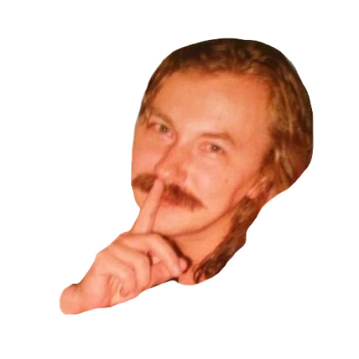 Игорь Николаев тест sticker 4