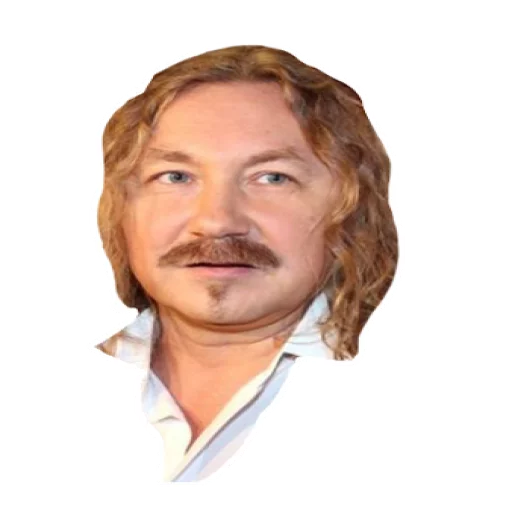 Игорь Николаев тест sticker 8