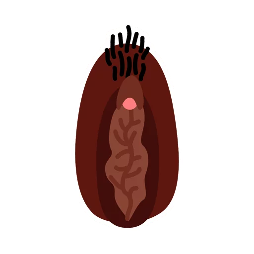 Vaginas sticker 2
